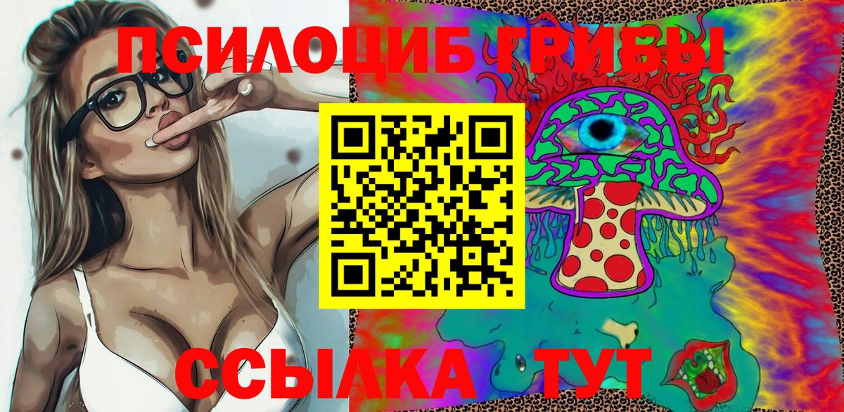 Галлюциногенные грибы Cubensis Омск