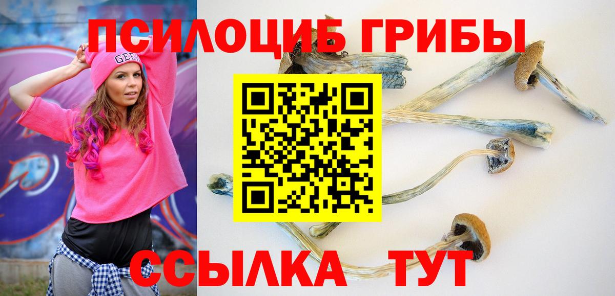 Омск  Галлюциногенные грибы Psilocybine cubensis  Вход с VPN  Псилоцибиновые грибы MAGIC MUSHROOMS 